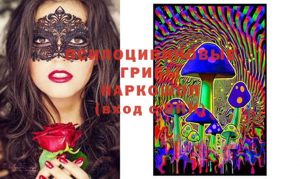 спайс Богданович